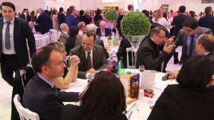 17807282 1834106593505739 6786406638836744548 o